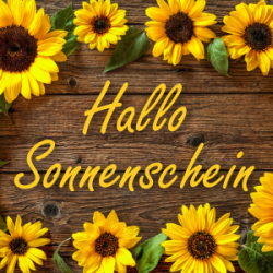 Hallo Sonnenschein (M107) - Sonnenblume, Kamille, Vanille