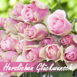 Herzlichen Glückwunsch (M13) - Pfingstrose, Classic