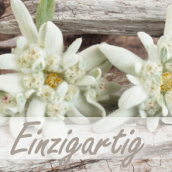 Einzigartig (M17) - Edelweiß, Classic