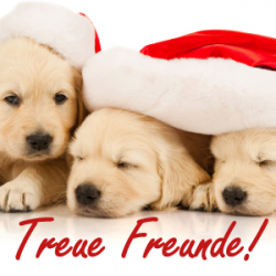 Treue Freunde (M34) - Classic