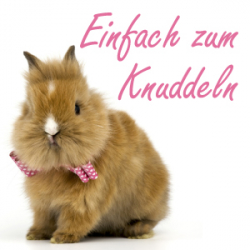 Einfach zum Knuddeln (M41) - Lotus