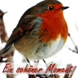 Ein schöner Moment (M4) - Granatapfel