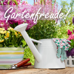 Gartenfreude (M78) - Lavendel