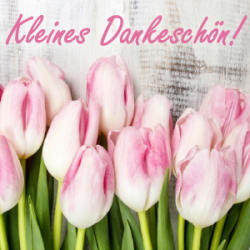 Kleines Dankeschön (M80) - Magnolie, Pfingstrose