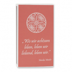 Zündhölzer groß, "Motiv Reinigung" 
