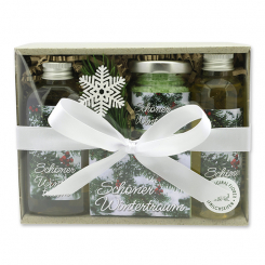 Geschenkset 4-teilig "Schöner Wintertraum", Eisenkraut 