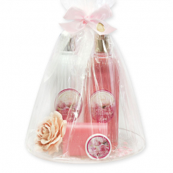 Care set 5 pieces in a cellophane bag, Rose Diana 