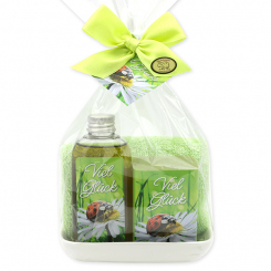 Care set 4 pieces in a cellophane "Viel Glück", Verbena 