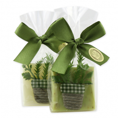 Schafmilchseife Quadrat 35g dekoriert mit Dekoband Kräuter in Cello, Classic/Eisenkraut 