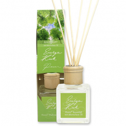 Room scent 100ml with essential oil, with sticks, Energy kick 